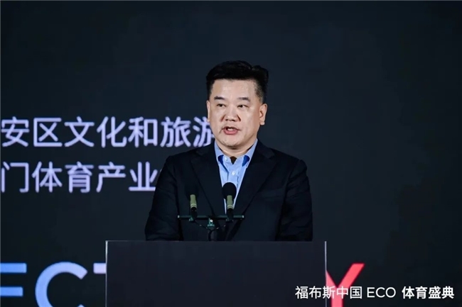提供了强有