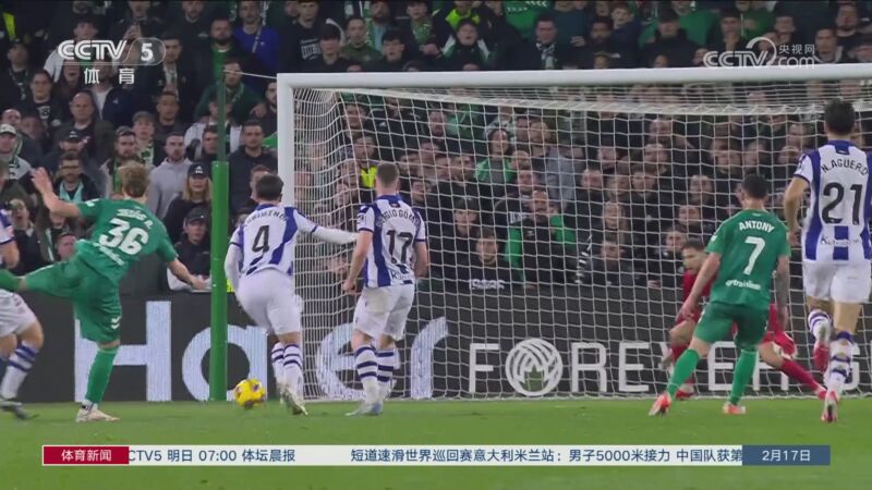 位守护者